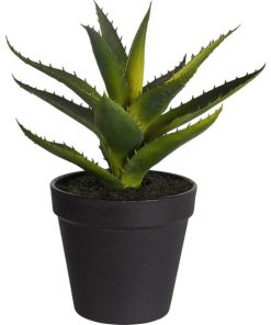 Vowave.shop01496bdea9 1