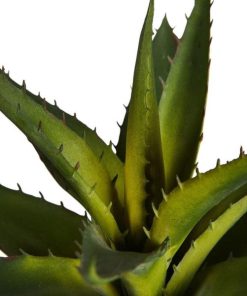 Vowave.shop01496bdea9 2