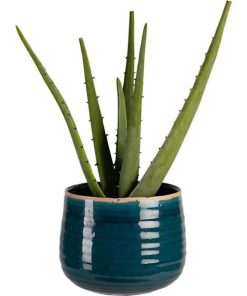 Vowave.shop01ffb5e866 2