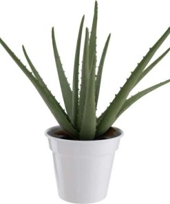 Vowave.shop0424f880e2 2