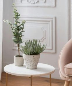 Vowave.shop07907c4a97 5