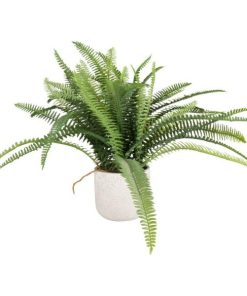 Vowave.shop1e410a9a2b 1