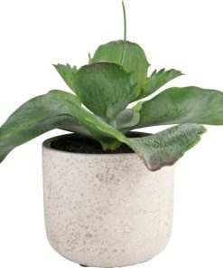 Vowave.shop1ec1692178 1