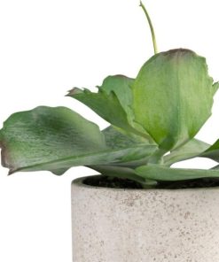 Vowave.shop1ec1692178 2