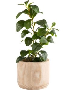 Vowave.shop212ee8a7a0 2