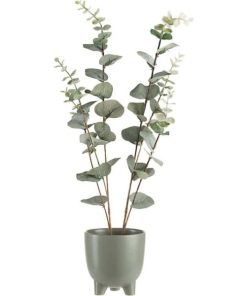 Vowave.shop2612cd4cce 2