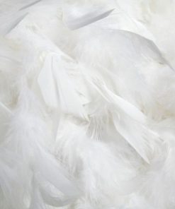 Vowave.shop2debd8bcde 2