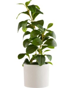 Vowave.shop31cfdfcb2d 2