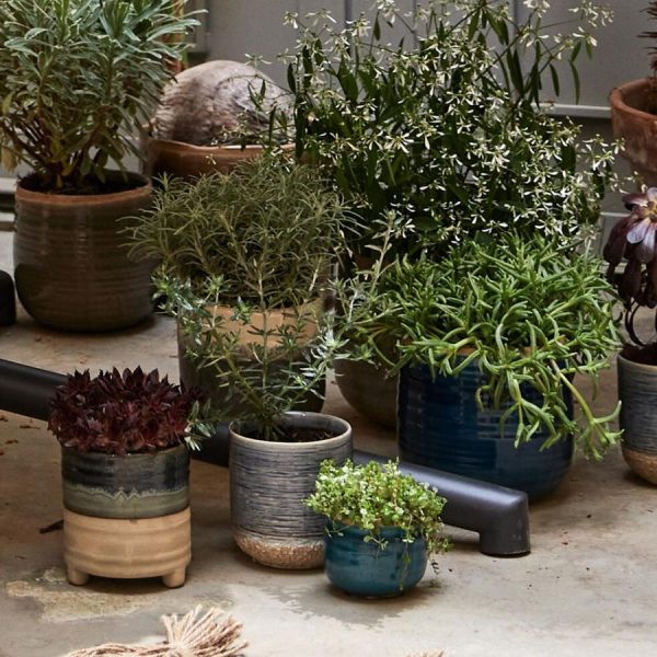 Vowave.shop3513f8c517 5