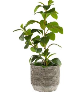 Vowave.shop39e47706c6 2