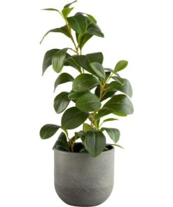 Vowave.shop3b4c06c2f5 2