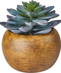 Vowave.shop5ab8c34e7c 1