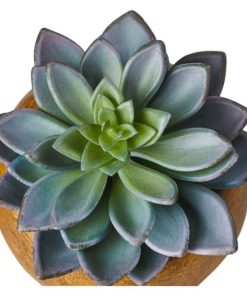 Vowave.shop5ab8c34e7c 2