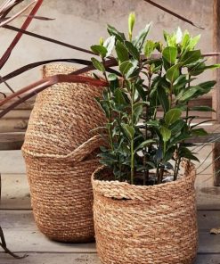 Vowave.shop60ca65fb78 5