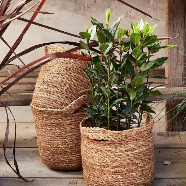 Vowave.shop60ca65fb78 5