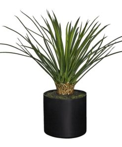 Vowave.shop62550f75cd 1