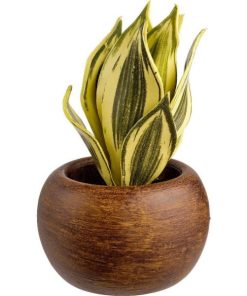 Vowave.shop6abeb55341 1