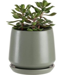 Vowave.shop7031828f43 2