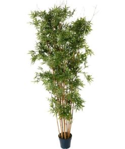 Vowave.shop7cfb273dfd 1