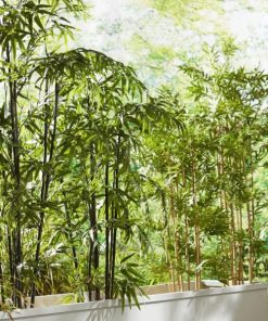 Vowave.shop7cfb273dfd 2