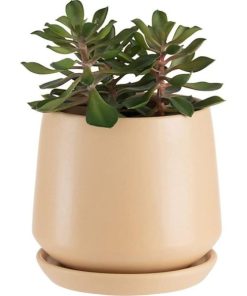 Vowave.shop8a088af5c6 2