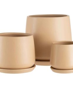 Vowave.shop8a088af5c6 4