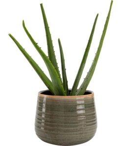 Vowave.shop9c62fe3484 2