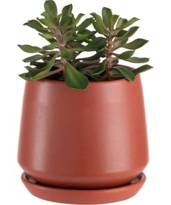 Vowave.shopaab645c9dd 2