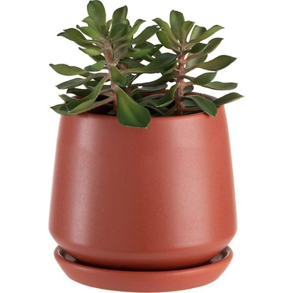 Vowave.shopaab645c9dd 2