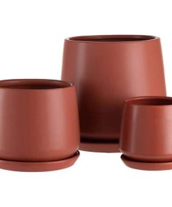 Vowave.shopaab645c9dd 4