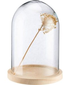 Vowave.shopaabb5f2ccf 2