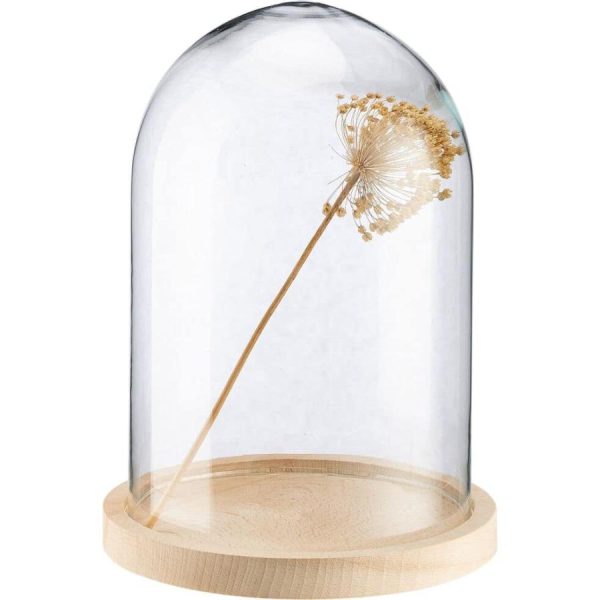 Vowave.shopaabb5f2ccf 2