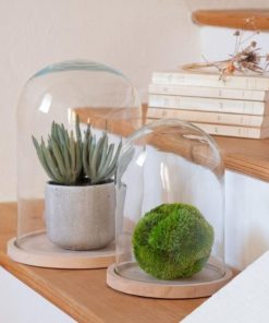 Vowave.shopaabb5f2ccf 4