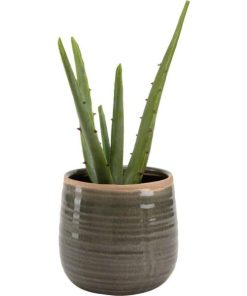 Vowave.shopab46ad3761 2