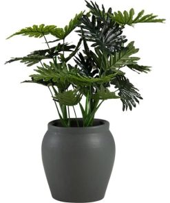 Vowave.shopb7b595542b 2