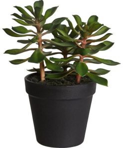 Vowave.shopcf047938b6 1