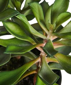 Vowave.shopcf047938b6 2