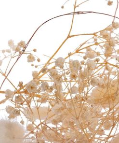 Vowave.shopcf0e18d947 2