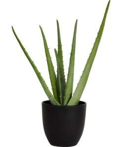 Vowave.shopdd41f17f2f 1