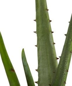 Vowave.shopdd41f17f2f 2