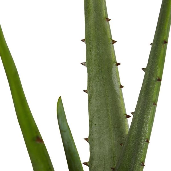 Vowave.shopdd41f17f2f 2