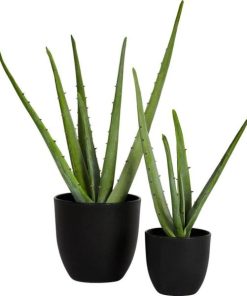 Vowave.shopdd41f17f2f 3