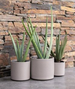 Vowave.shopdd41f17f2f 4