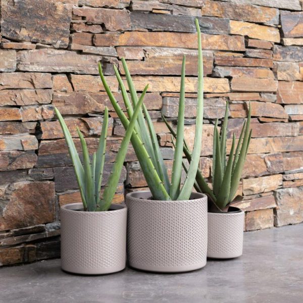 Vowave.shopdd41f17f2f 4