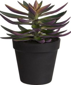 Vowave.shopddbaa62a25 1