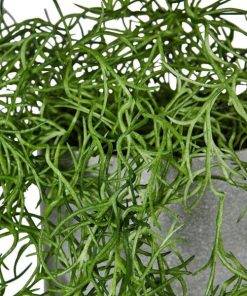 Vowave.shopfac7916295 3